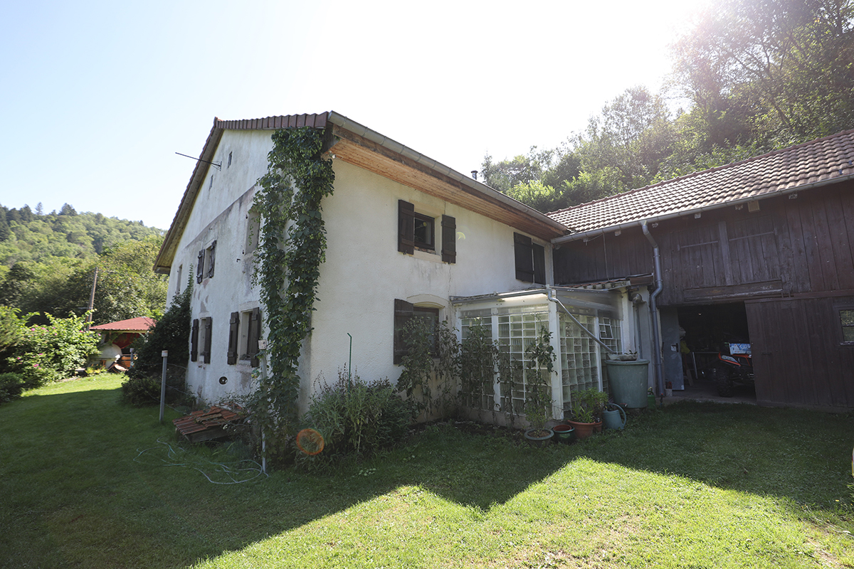 Zweistöckiges weißes Haus mit Efeu an der Wand, befestigt an einer Holzkonstruktion. An der Seite befindet sich ein kleines Gewächshaus mit Pflanzen. Die Kulisse ist üppiges Grün unter einem hellen Himmel.